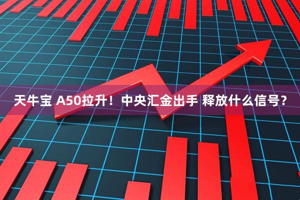 天牛宝 A50拉升！中央汇金出手 释放什么信号？