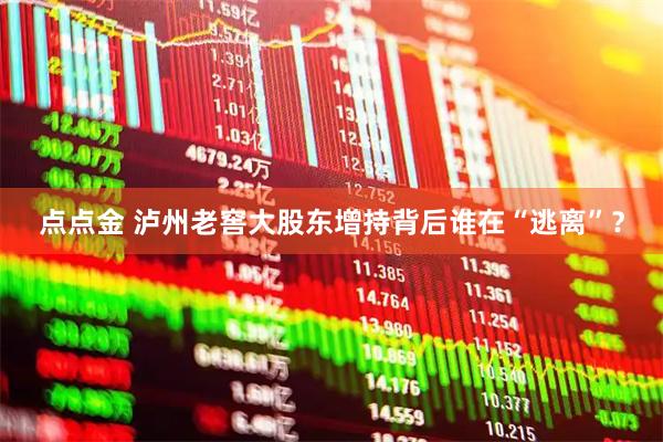 点点金 泸州老窖大股东增持背后谁在“逃离”？