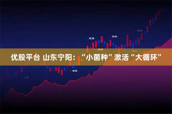 优股平台 山东宁阳：“小菌种”激活“大循环”