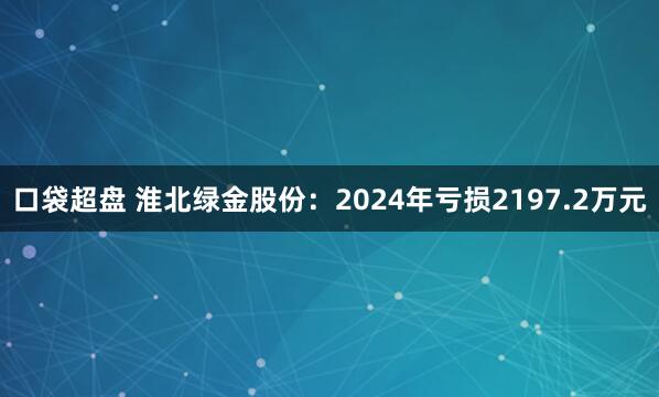 口袋超盘 淮北绿金股份：2024年亏损2197.2万元