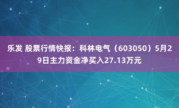 乐发 股票行情快报：科林电气（603050）5月29日主力资金净买入27.13万元