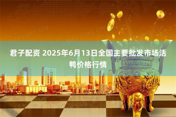 君子配资 2025年6月13日全国主要批发市场活鸭价格行情