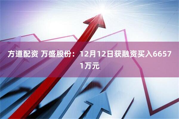 方道配资 万盛股份：12月12日获融资买入66571万元