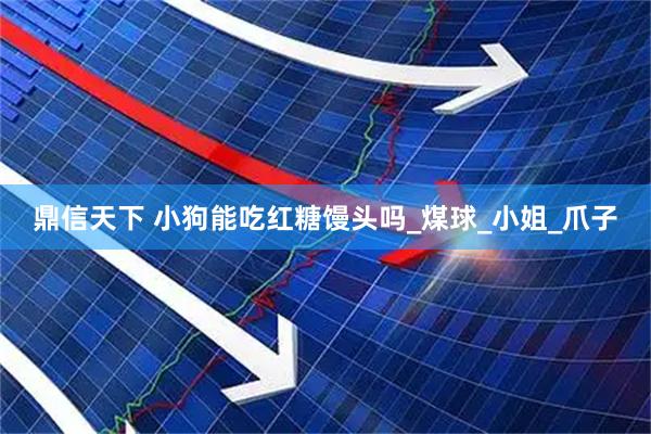 鼎信天下 小狗能吃红糖馒头吗_煤球_小姐_爪子