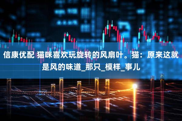 信康优配 猫咪喜欢玩旋转的风扇叶。猫：原来这就是风的味道_那只_模样_事儿